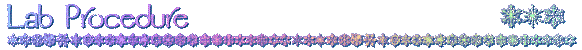 Lab Procedure